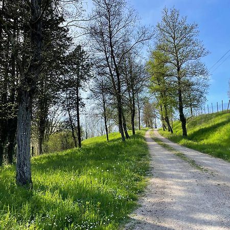 Agriturismo Podere Le Tombe Palaia Exterior foto