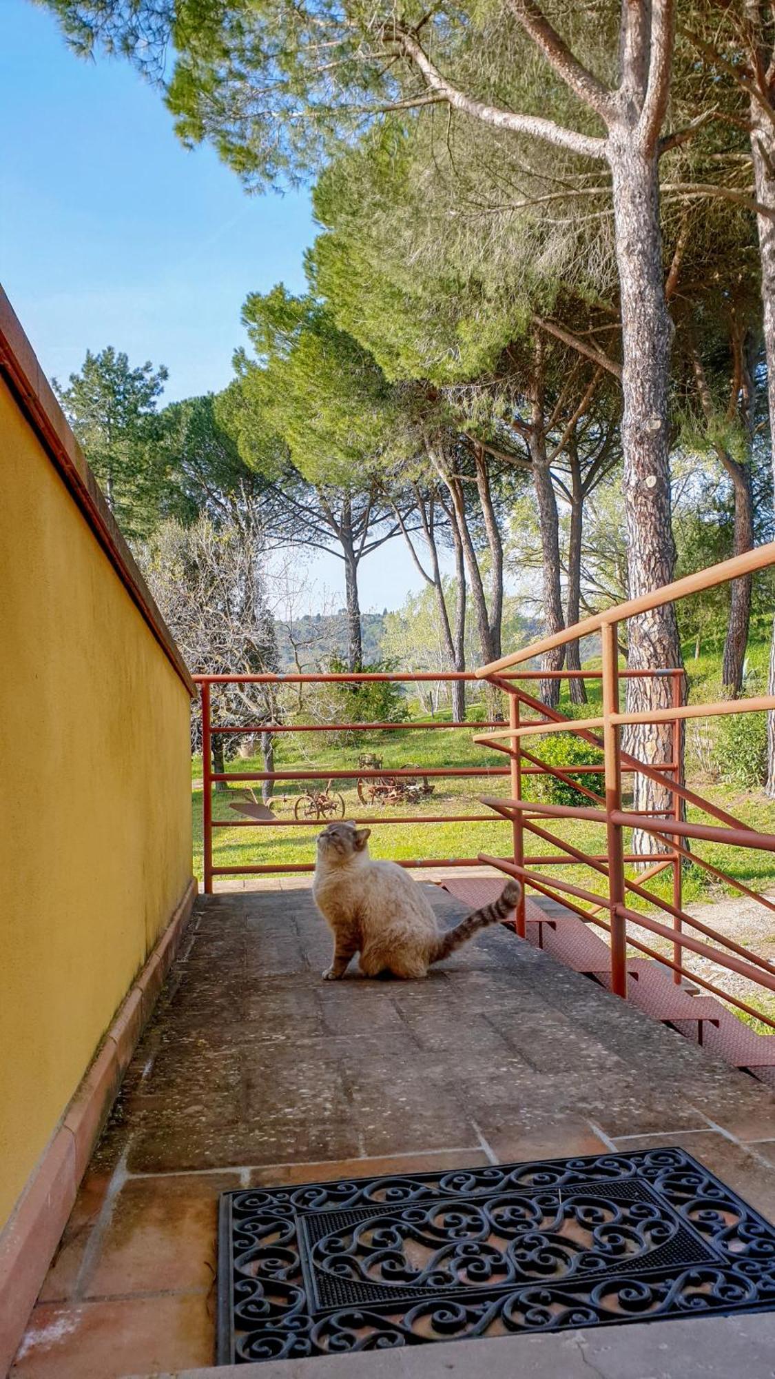 Agriturismo Podere Le Tombe Guest House Palaia Exterior foto