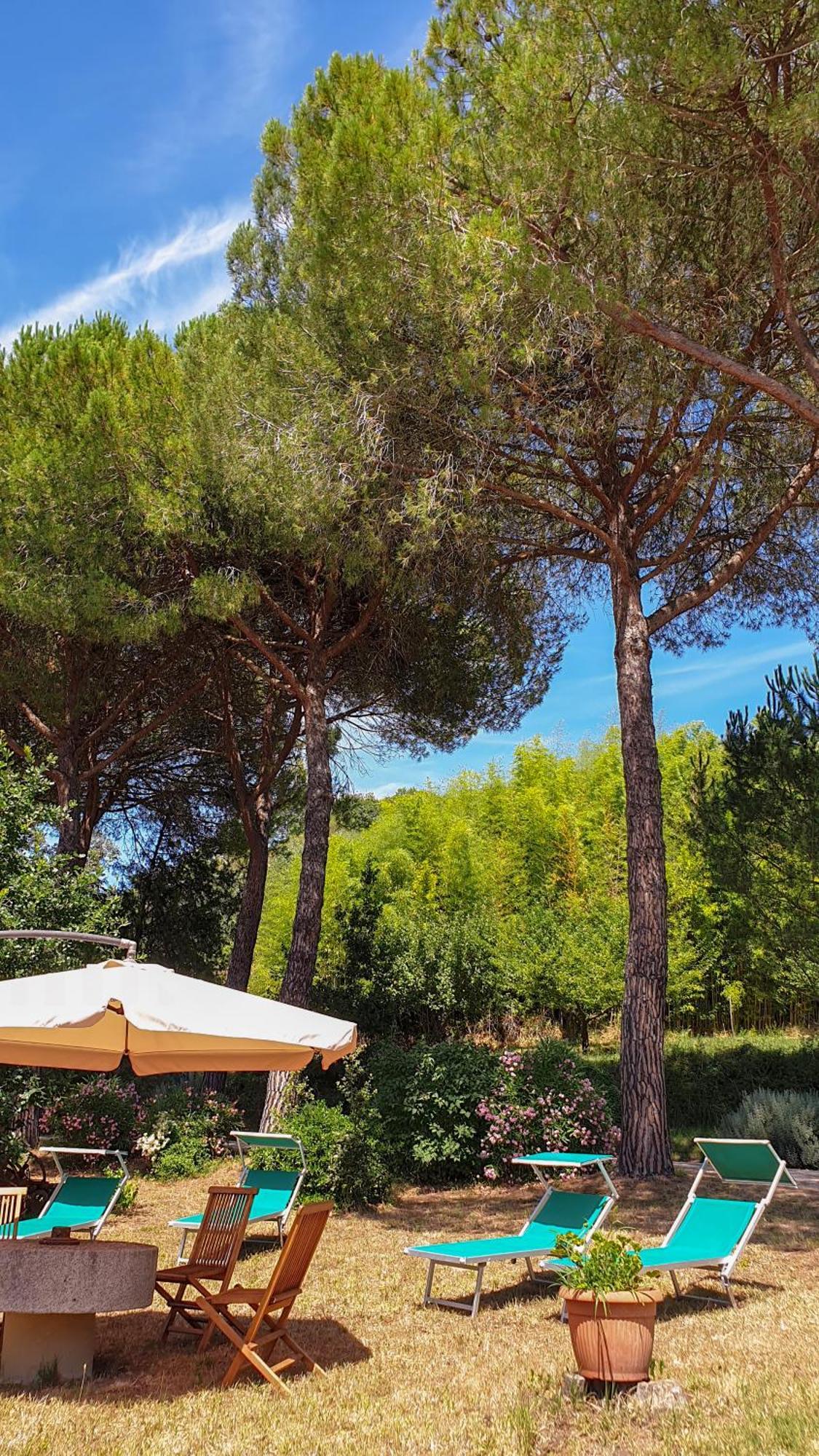 Agriturismo Podere Le Tombe Palaia Exterior foto