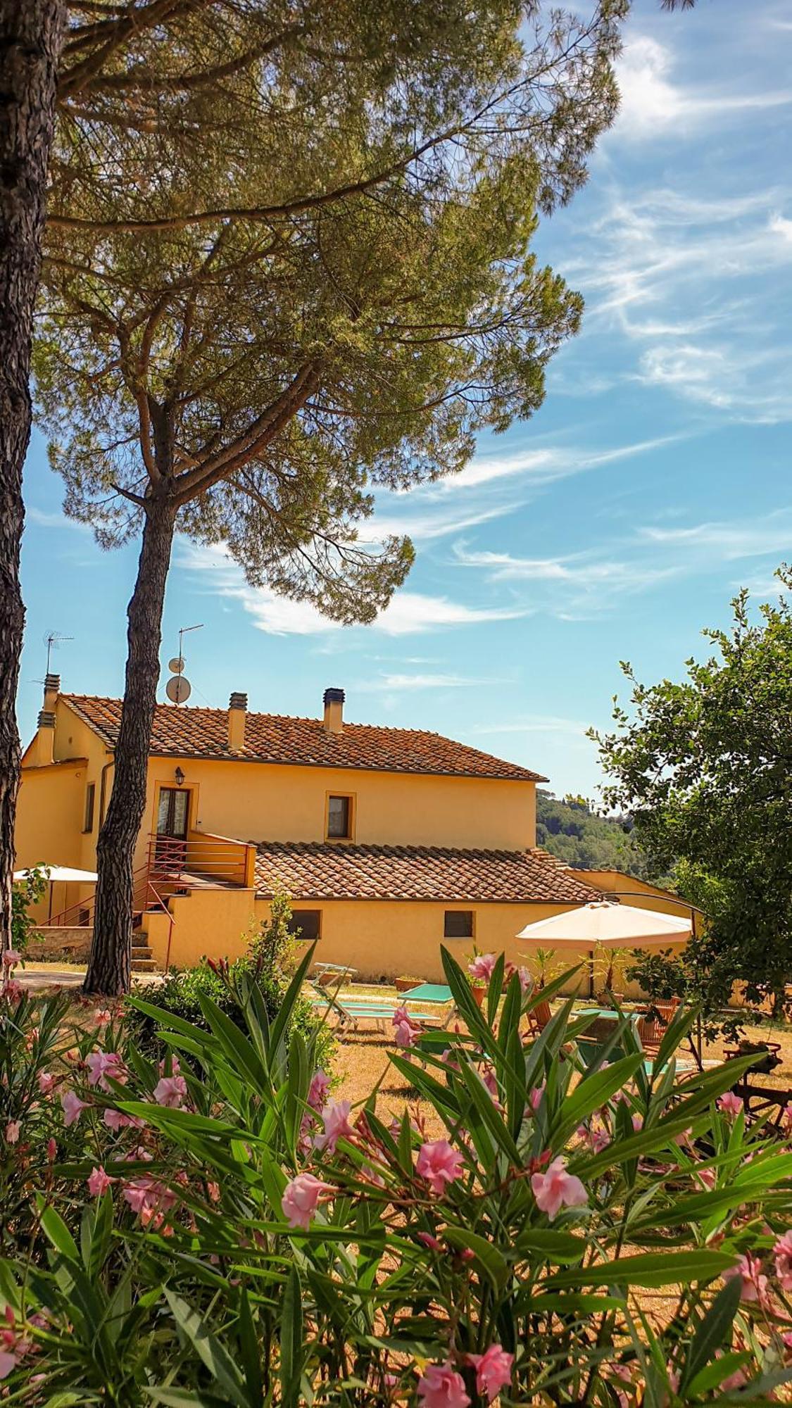 Agriturismo Podere Le Tombe Guest House Palaia Cameră foto